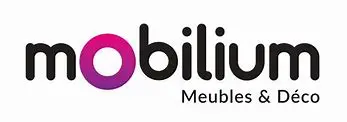 edu-mobiliums9